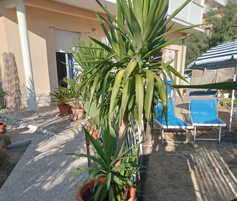Apartment with garden | Sea view — photo 5