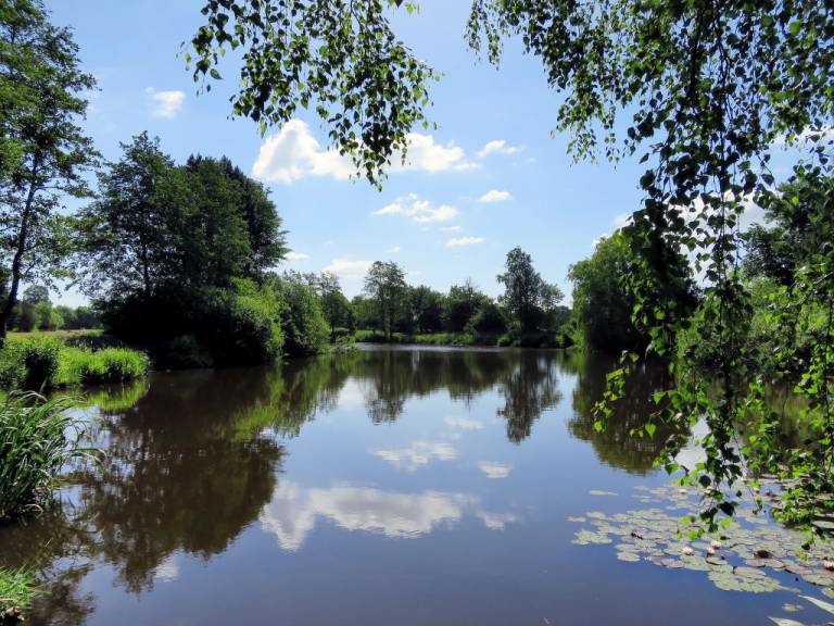 foto16