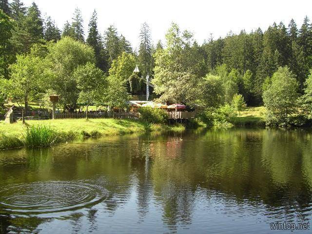 foto12