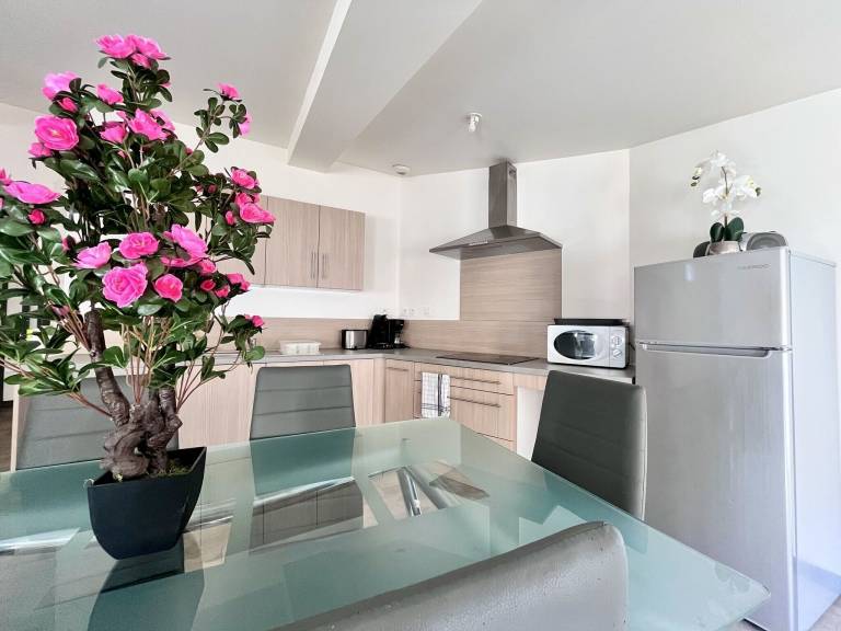 Appartement Tain-l'Hermitage