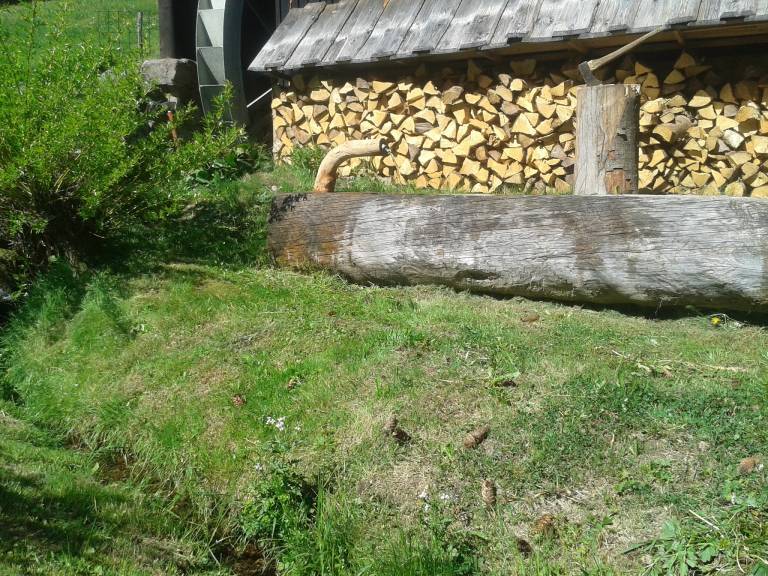 foto17