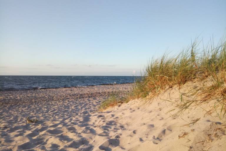 foto23