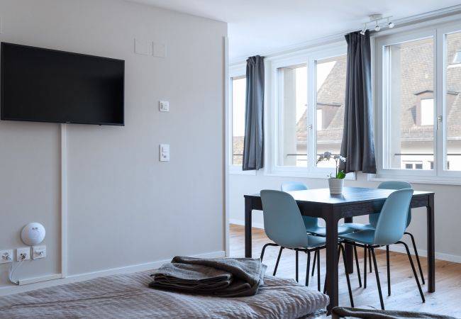 Apartment  Basel