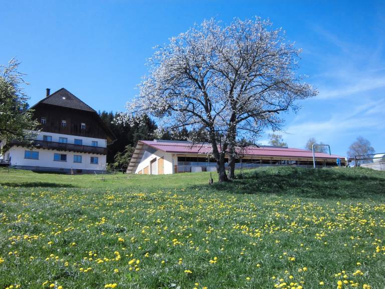 Ferienwohnung Ursprung mit Balkon und Wi Fi