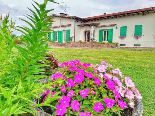 Bed and breakfast  Montagnana