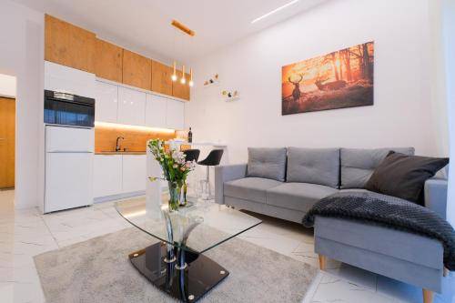 Apartament Żywiec
