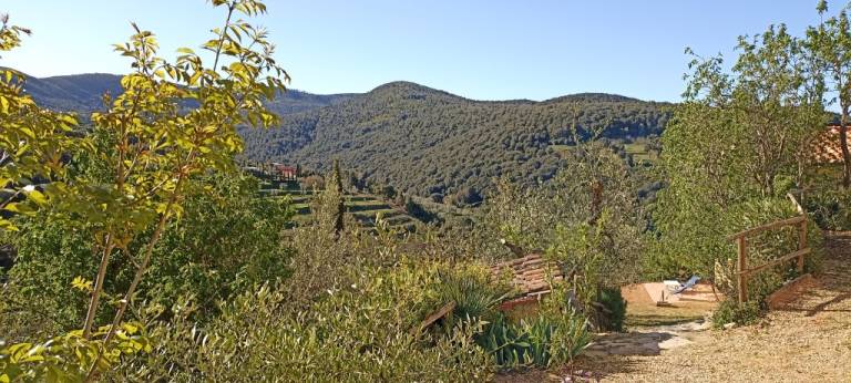 Agriturismo Costia Mandorli: Costia Mandorli - App. - Melograno — photo 4