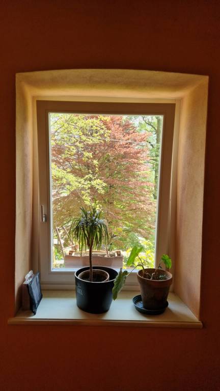 foto11