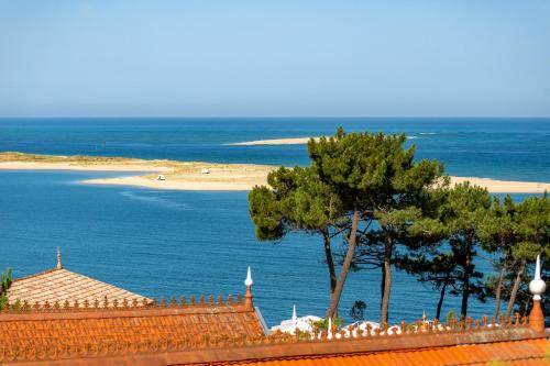 Appartement Dune du Pilat