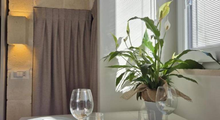 Pleasant holiday apartment | Pets are welcome — photo 3