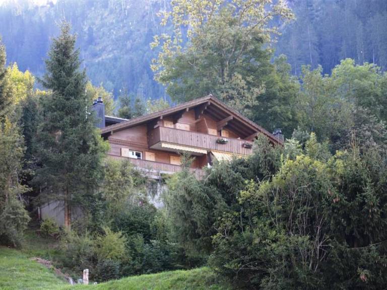 Ferienwohnung Zweisimmen