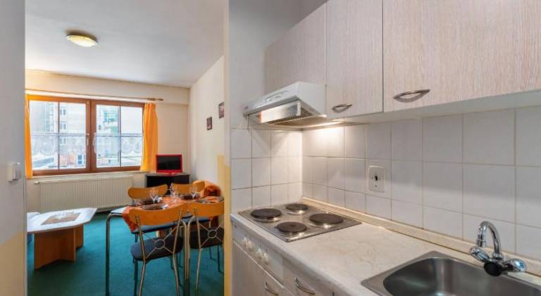 Apartment with 1 room for 4 persons — photo 4