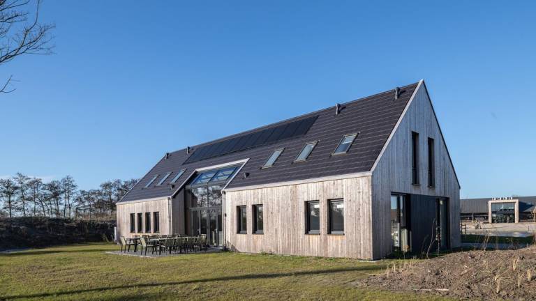 Ferienhaus mit Hund in Nieuwvliet, Holland Nordsee, Holland