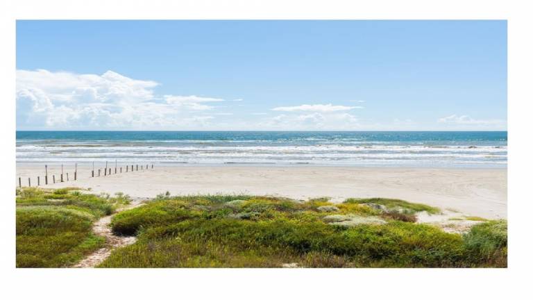House Galveston