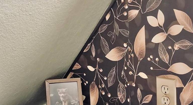 foto23