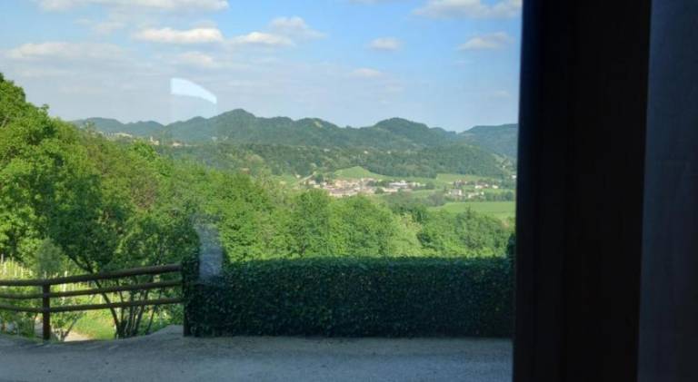 foto19