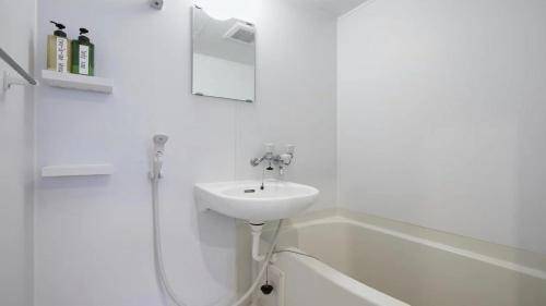 foto11