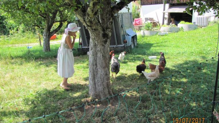 Ferienwohnung Scheidegg