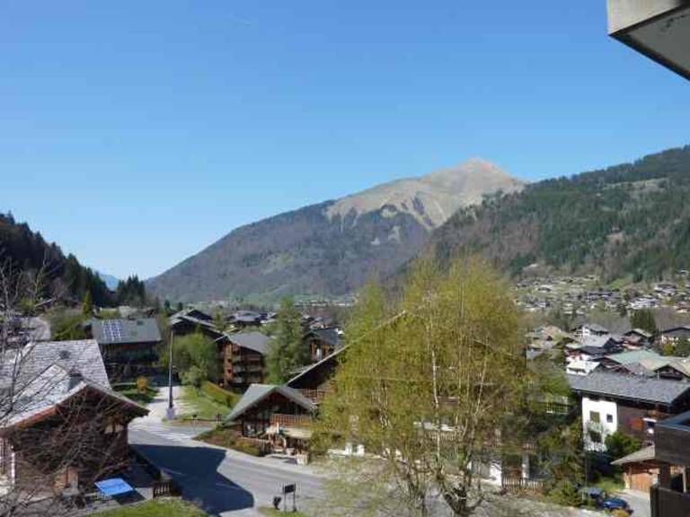 foto11