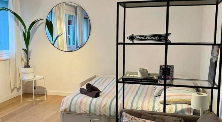 Wonderful rental apartment | Near Jet d'Eau | Pets are welcome in Geneva