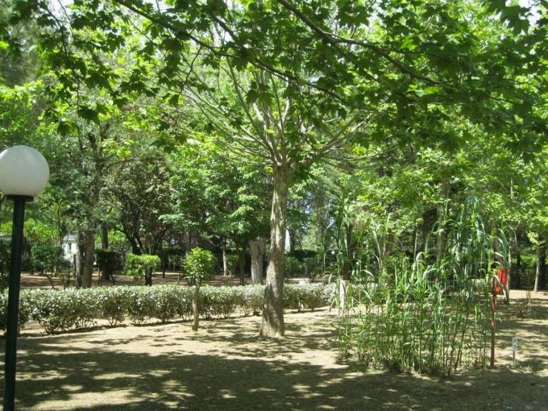 foto13