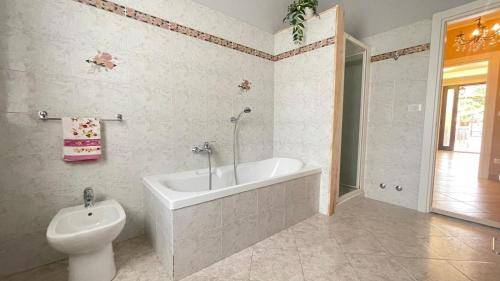 foto2