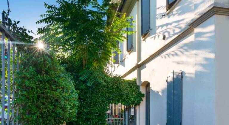 Holiday apartment | Dogs allowed — photo 4