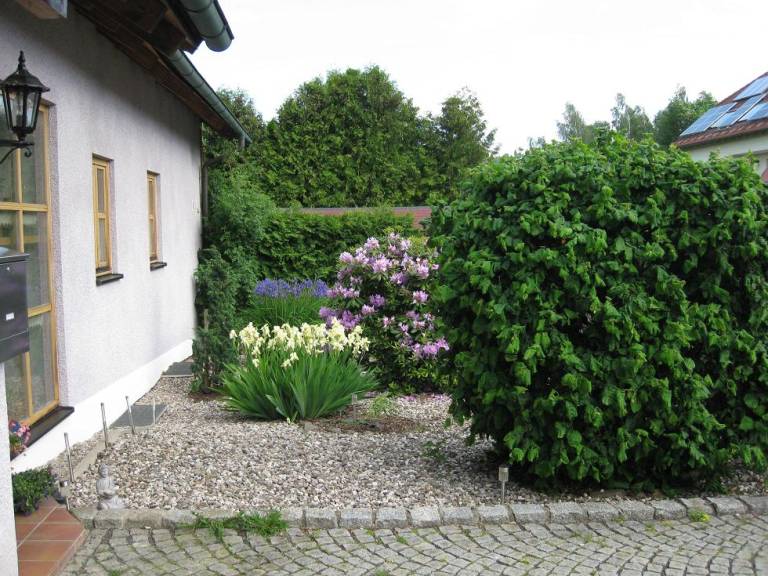 foto18