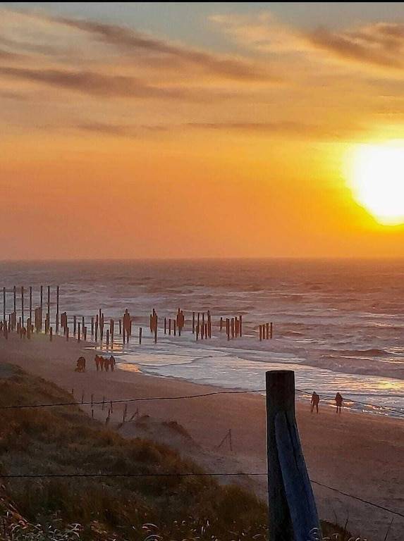 House Waarland