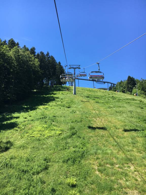 foto1