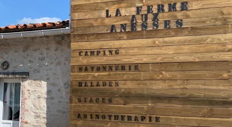 Camping de la ferme aux anesses, mobil home myrtille — photo 5