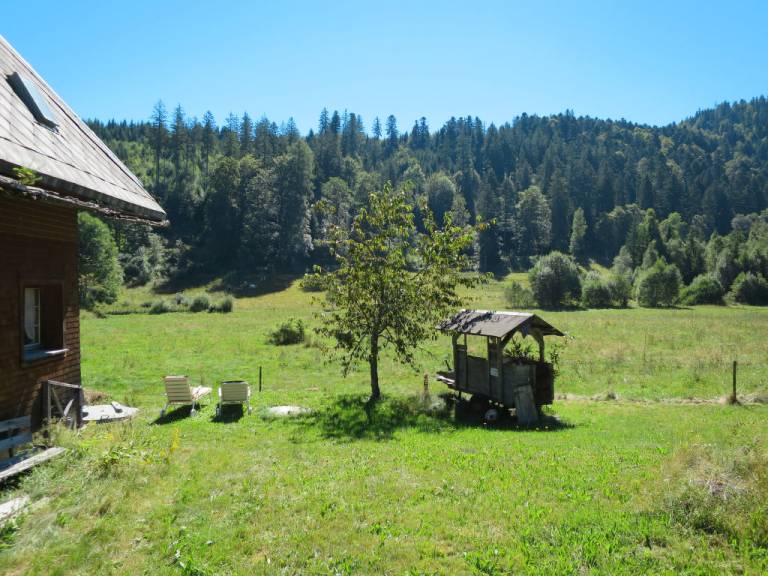 foto20