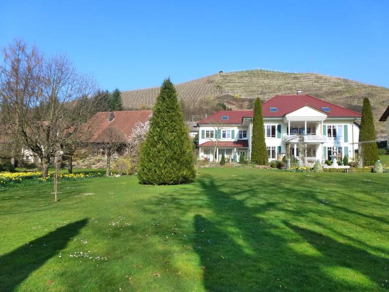 foto19