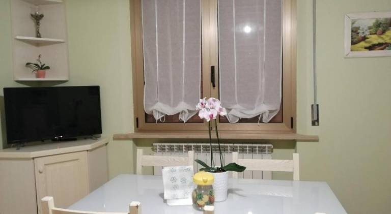 Rental apartment | Pet-friendly — photo 4