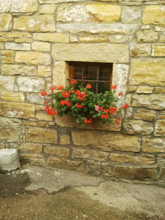foto37