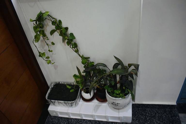 foto43