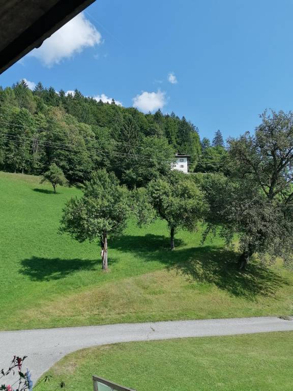 foto44
