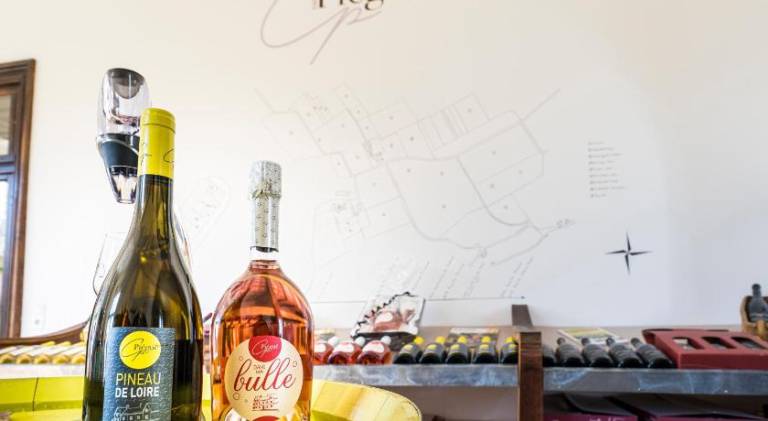 Vignoble Chateau Piegue - winery — photo 3
