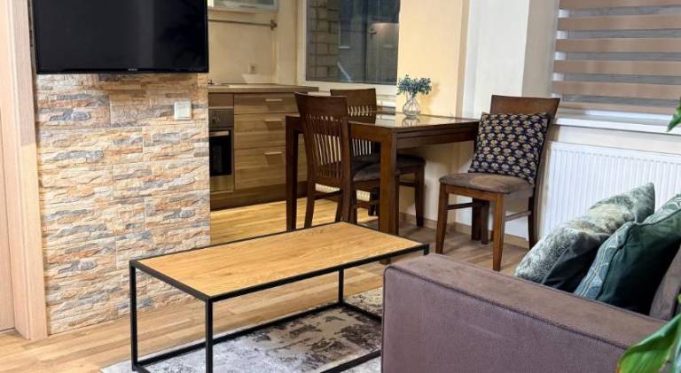 Apartment with 1 room for 4 persons in Vilnius