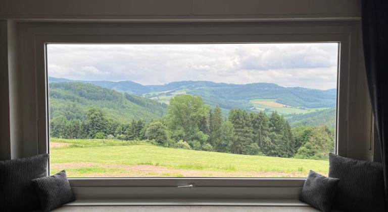 Big vacation home | Pets allowed — photo 5