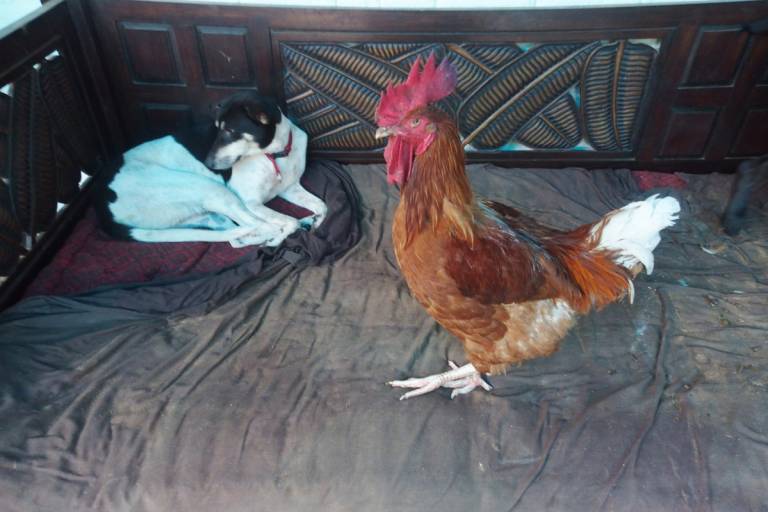 foto5