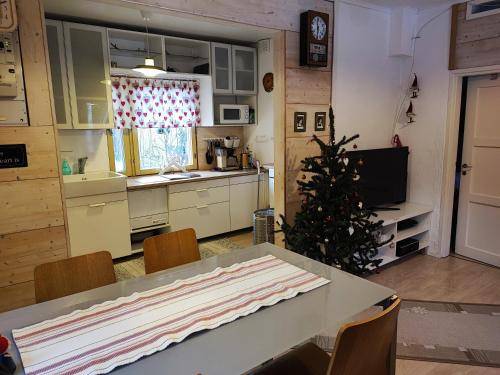 House Rovaniemi