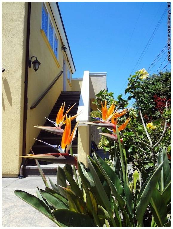 Apartment Santa Cruz