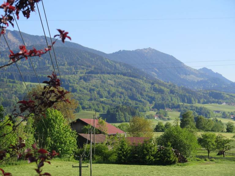 foto21