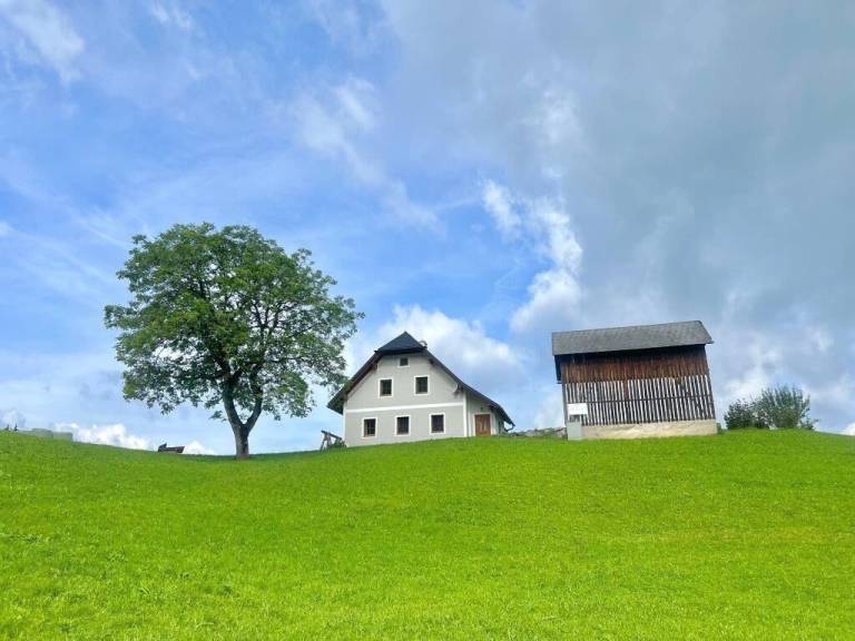 Ferienwohnung  Eisenwiesen