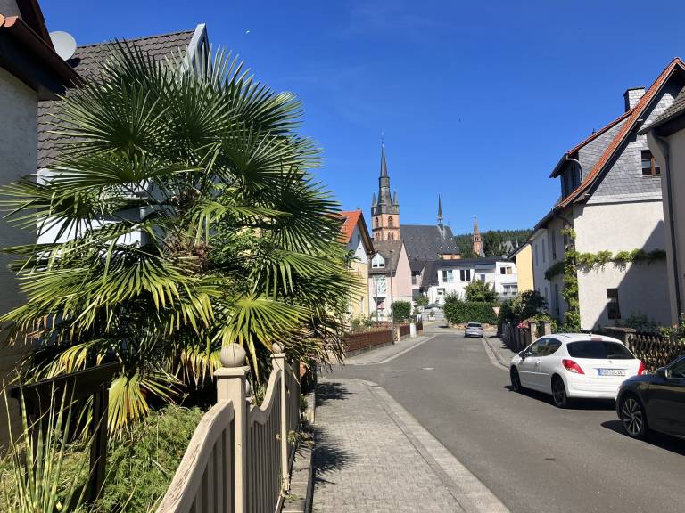 foto29