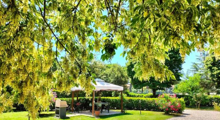 House | Next to the beach | Pet-friendly in Castiglione del Lago