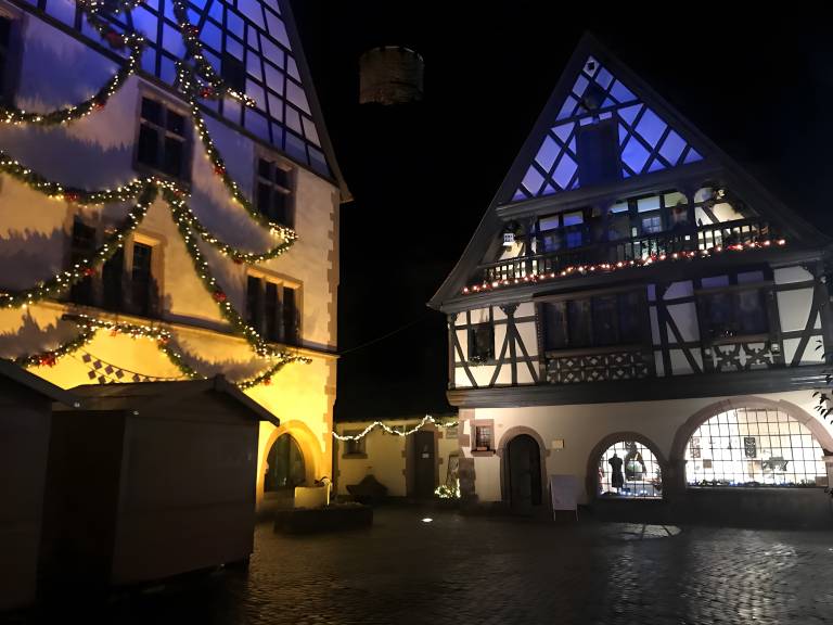 Gite at the Foot of the Stork’s Nest, Max 7 Guests (5 Adults) in Riquewihr