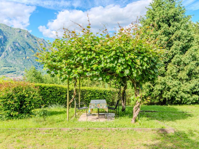House with yard & patio | Nature view | Pets allowed — photo 3