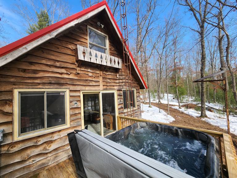 Cabin Reed City